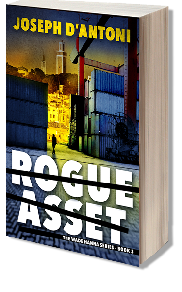 book-RogueAsset